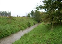 0837_pravcice_kolicin