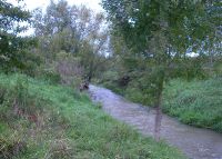 0838_pravcice_kolicin_po