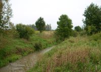 0839_pravcice_kolicin