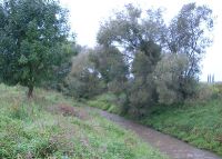 0840_pravcice_kolicin_po