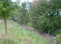 0842_pravcice_kolicin_po