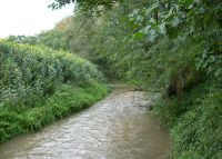 0846_pravcice_kolicin_merici_stanice