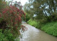 0847_pravcice_kolicin_merici_stanice_po