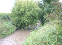 0848_pravcice_kolicin