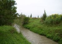 0849_pravcice_kolicin_po