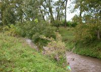 0851_pravcice_kolicin_po