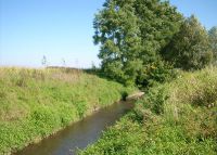 0852_pravcice_kolicin