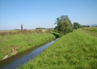 0854_pravcice