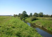 0855_pravcice_po