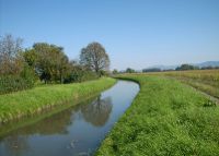 0859_pravcice
