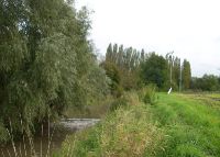 0868_pravcice