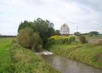 0869_pravcice_po
