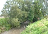 0870_pravcice