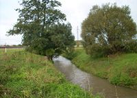 0871_pravcice_po