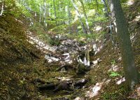 0021_rusava_les_budova