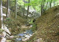 0022_rusava_les_budova_po