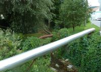0047_rusava_pred_hostincem_po