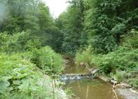 0062_hranecnik_rusava