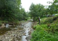 0081_brusne_po
