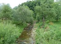 0082_brusne