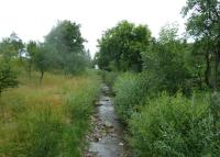 0083_brusne_po