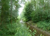 0084_brusne