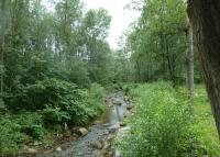 0085_brusne_po