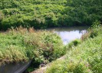 0965_stonac