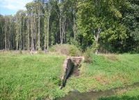 0967_stonac