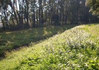 0977_zahlinicke_rybniky_po