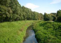 0984_most_k_rybrastvi