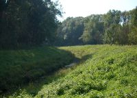 0987_most_rybarstvi_soutok_po