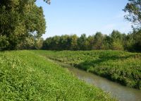 0994_most_rybarstvi_soutok