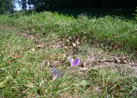 0996_soutok_Morava