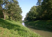 0998_soutok_Morava