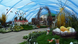 18.-20. března 2016 – Zahradnictví Stella – Zázraky jara (2,6 °C)