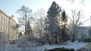 22. ledna 2017 – mráz ve Smetanových sadech (-4,4 °C)