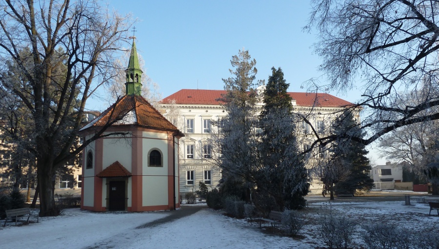 22. ledna 2017 – mráz ve Smetanových sadech (-4,4 °C)