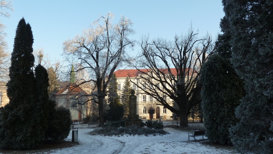 22. ledna 2017 – mráz ve Smetanových sadech (-4,4 °C)