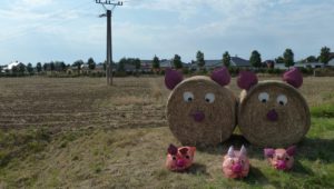 Srpen 2018 – pozvánky na poli k Dožínkám mikroregionu Holešov