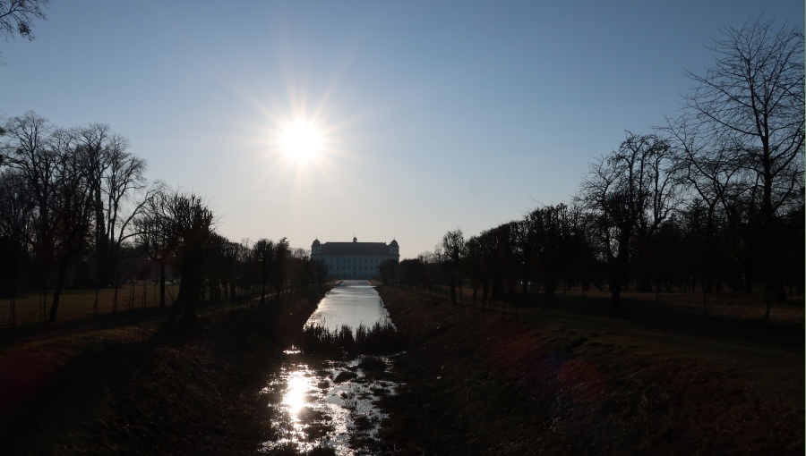 9. únor 2020 – zámecká zahrada (-0,1 °C)